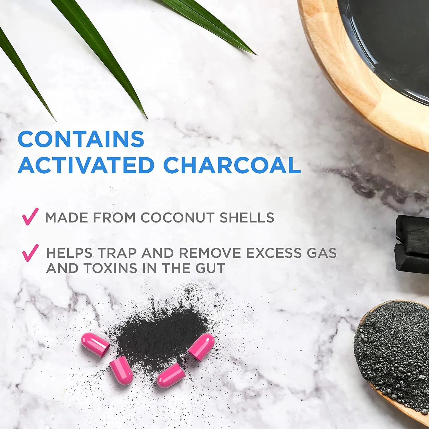 CharcoCaps Activated Charcoal Anti-Gas and Bloating Relief Detoxifying Formula, 100 Count