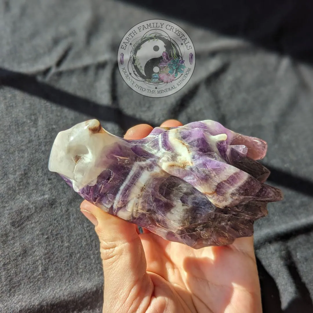 Dream Amethyst Dragon Head Carving ~ Chevron Amethyst ~ Dreamy Vibes