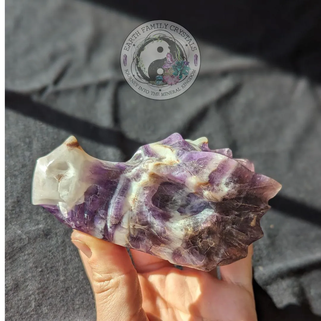 Dream Amethyst Dragon Head Carving ~ Chevron Amethyst ~ Dreamy Vibes