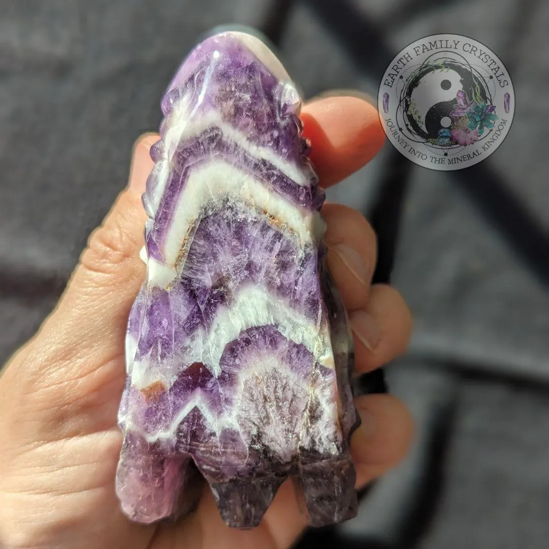 Dream Amethyst Dragon Head Carving ~ Chevron Amethyst ~ Dreamy Vibes