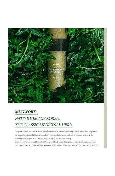 I'm From Mugwort Essence 5.4 Fl Oz