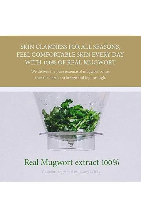 I'm From Mugwort Essence 5.4 Fl Oz