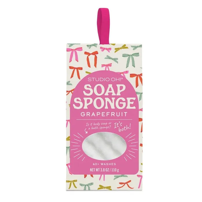 Reusable Soap Sponge