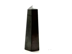 Shungite Faceted Point