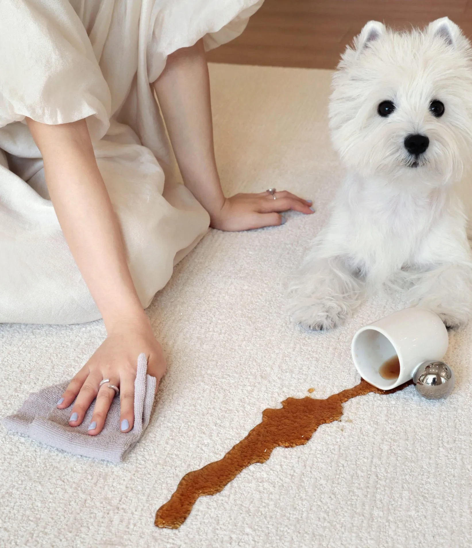 Waterproof and Stain-resistant Carpet